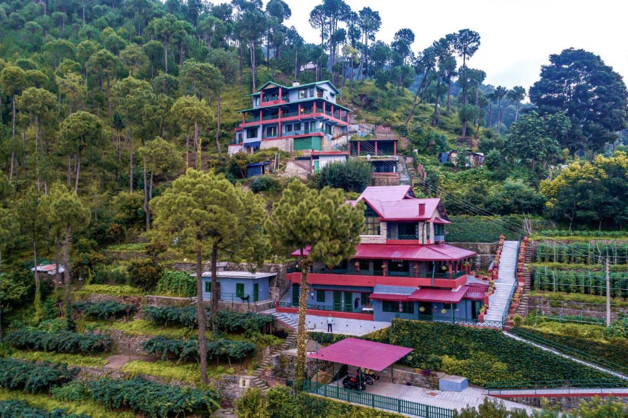 Stayvista At Cecil Cottages With Barbeque, Hill View Kasauli Bagian luar foto