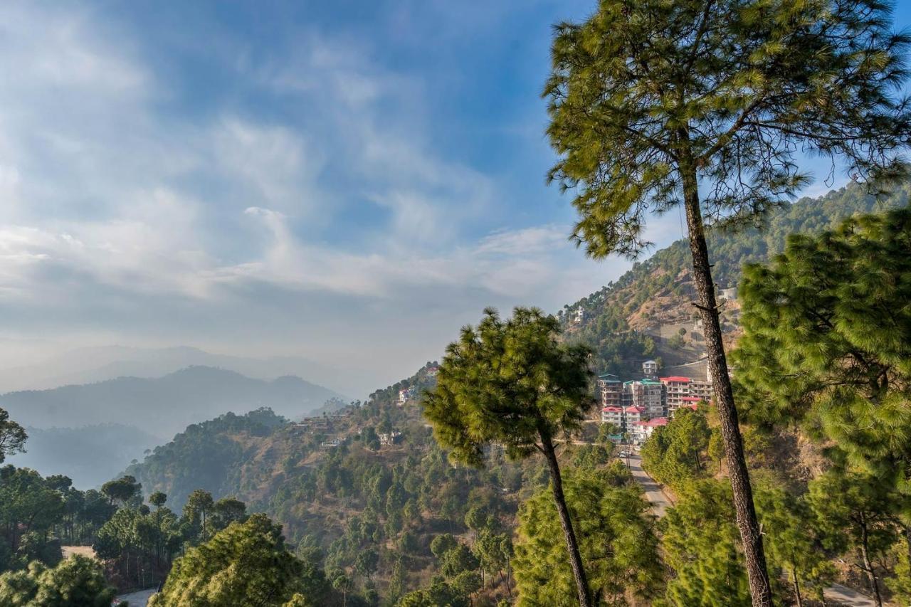 Stayvista At Cecil Cottages Hill View 8Br, 6Br, 4Br, 2Br In Barog With Barbeque Kasauli Bagian luar foto